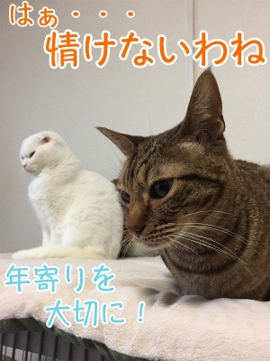 みんな672