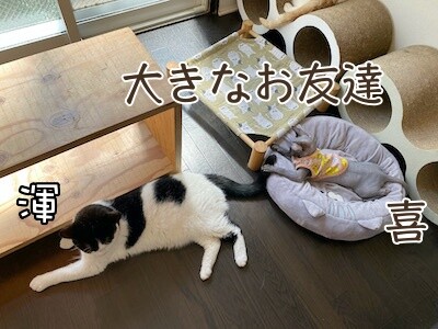 みんな442