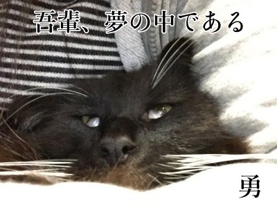 勇27