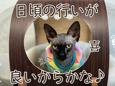 喜65