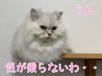 らん189
