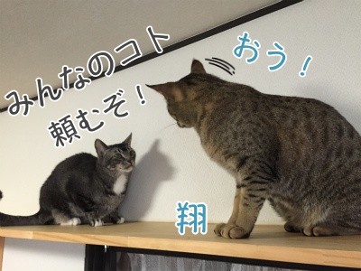 みんな922