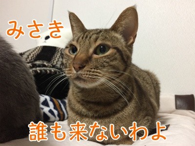 みさき149
