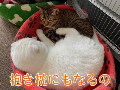 みんな2439