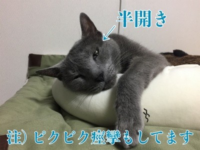 京280