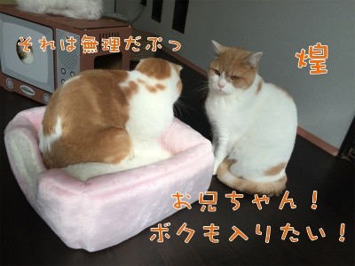 みんな31