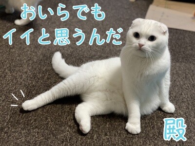 殿822