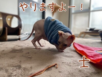 士157