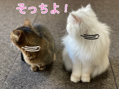 みんな1583