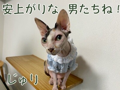 じゅり83