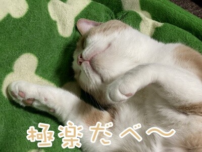 楓632