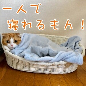 ベル16