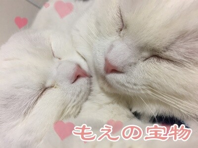 みんな1538