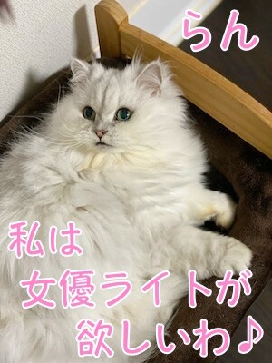 らん18