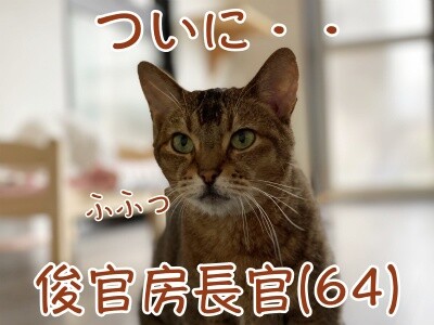 俊368