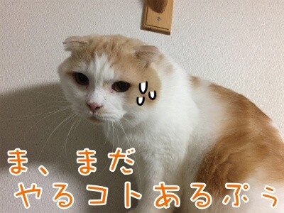 竜21