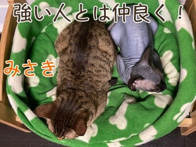 みんな444