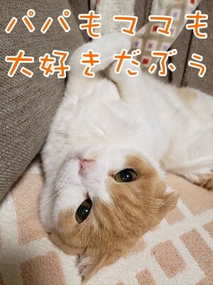 凌54