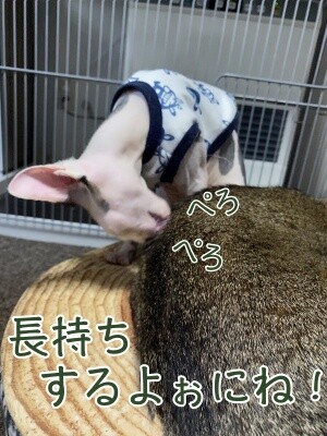 じゅり83