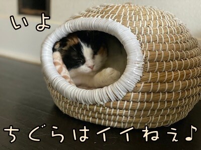 いよ583
