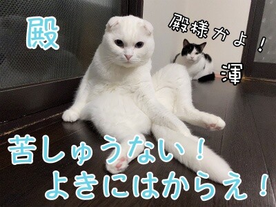 殿647