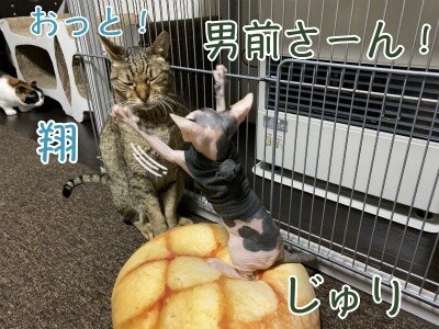 じゅり23