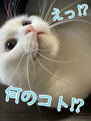 殿1