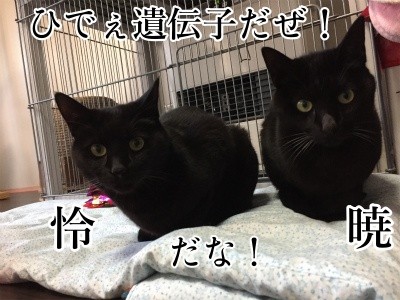 みんな669