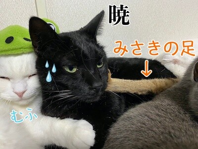 みんな95