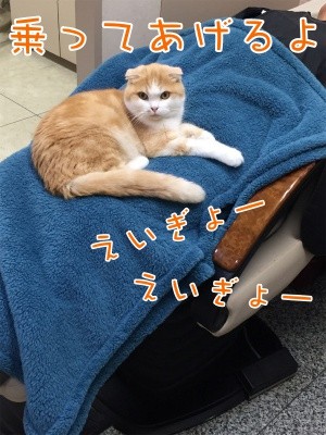 珠若281