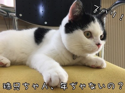 珠若92