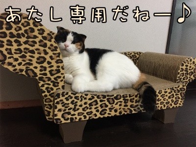 いよ218
