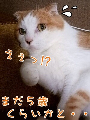 まお117