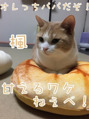 楓382