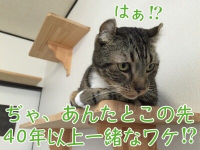 かな191