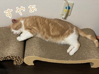 楓1173