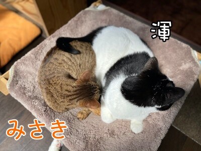 みんな1408