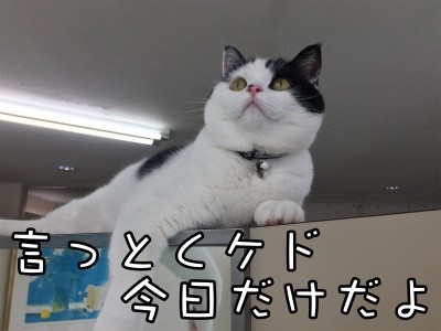 珠若475