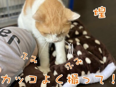みんな1033