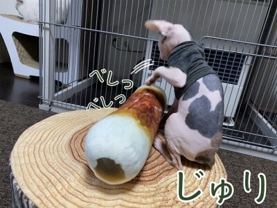 じゅり51