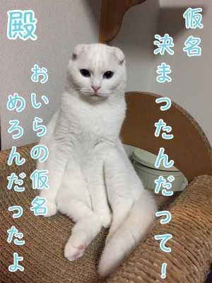 殿26