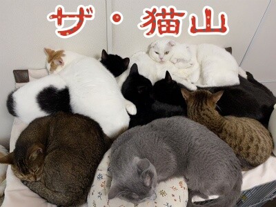 みんな1675