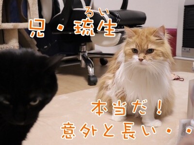 るひあ167
