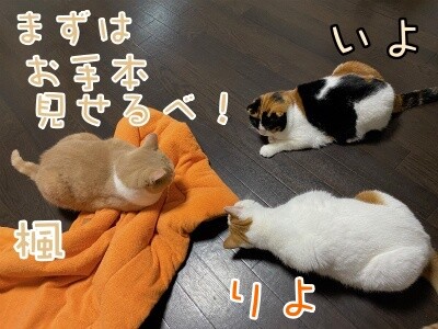 みんな2194