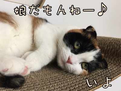 いよ45