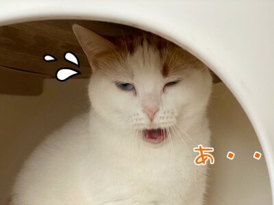 りよ38