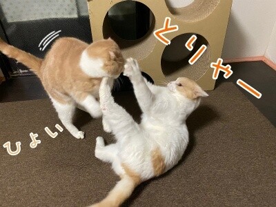みんな2501