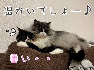 るひあ101