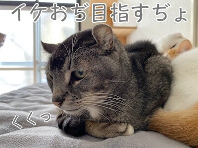 銀87