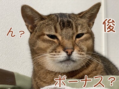俊352